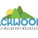 Backwoods At Mulberry Mountain